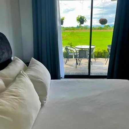 Paddy Villea Inn Spt Penang
